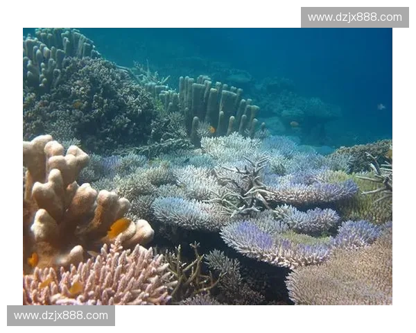 印尼足球联赛崛起之路推动东南亚足坛竞争格局新时期重塑发展